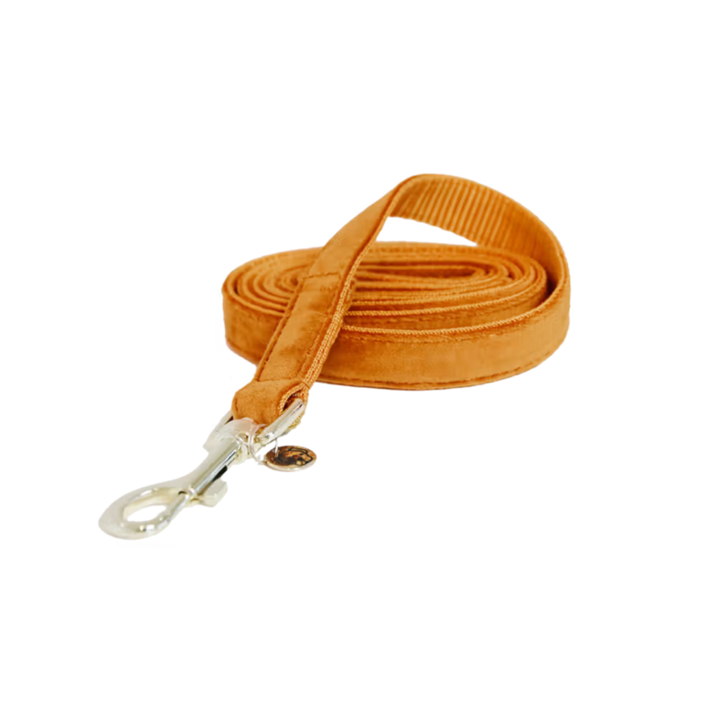 Kentucky Velvet Dog Lead 120cm - Orange