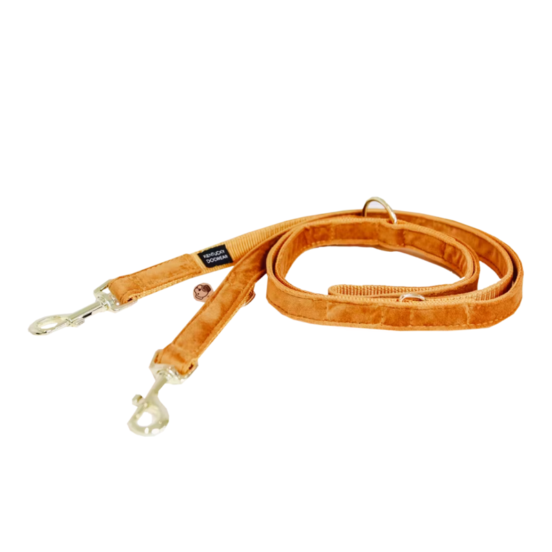 Kentucky Velvet Dog Lead 2m - Orange