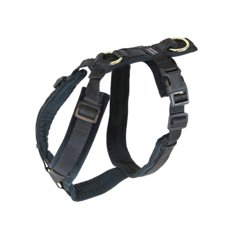 Kentucky Active Velvet Dog Harness - Black-5