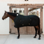 Kentucky Canvas Sheet - Black