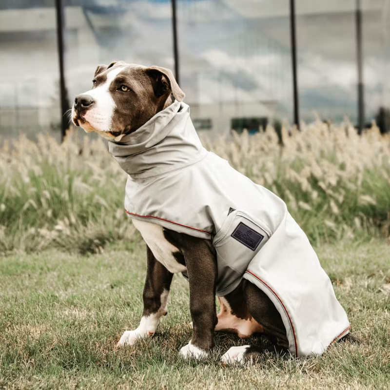 Kentucky Dog Raincoat - Dusty Blue