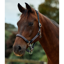 Dublin Braided Leather Headcollar - Charcoal
