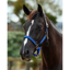 Dublin Braided Leather Headcollar - Cobalt