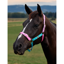 Dublin Everyday Headcollar - Blue/Pink/Purple