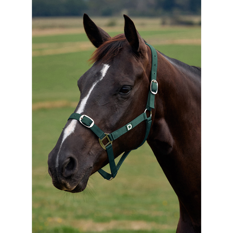 Dublin Everyday Headcollar - Green