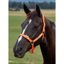 Dublin Everyday Headcollar - Orange