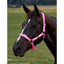 Dublin Everyday Headcollar - Pink