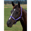 Dublin Everyday Headcollar - Purple