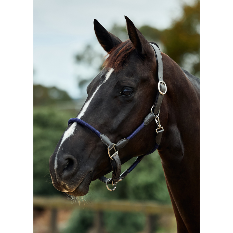 Dublin Leather Rope Headcollar - Navy/Brown