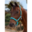 Dublin Neo Comfort Headcollar - Dark Turquoise