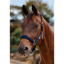 Dublin Neo Comfort Headcollar - Navy