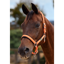 Dublin Neo Comfort Headcollar - Orange
