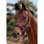 Dublin Neo Comfort Headcollar - Purple