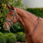 Dublin Padded Flash Bridle - Black