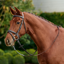 Dublin Padded Flash Bridle - Brown