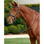 Dublin Padded Mono Crown Flash Bridle - Black