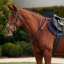 Dublin 3-Point Breastplate - Black