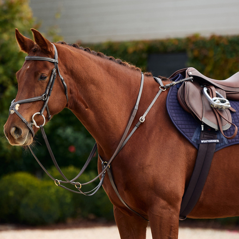 Dublin 3-Point Breastplate - Brown