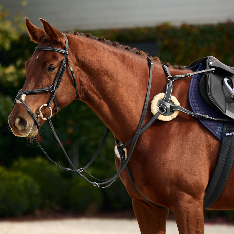 Dublin 5-Point Event Breastplate - Black