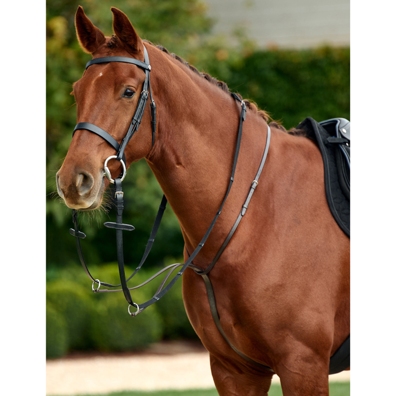 Dublin Running Martingale - Black