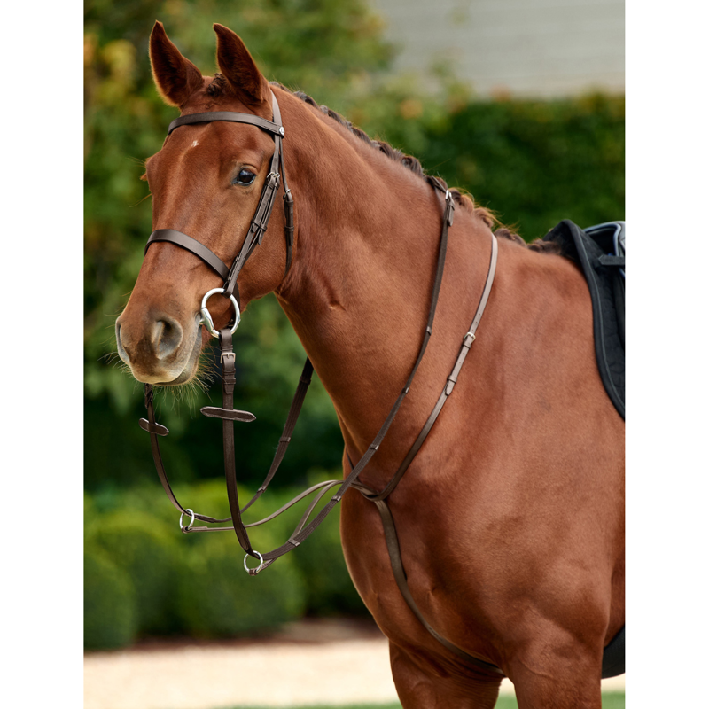 Dublin Running Martingale - Brown