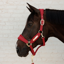Kentucky Velvet Headcollar - Red