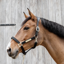 Kentucky Nylon Anatomic Halter - Black