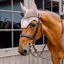Kentucky Soundless 3D Logo Rope Wellington Fly Veil Full - Old Rose