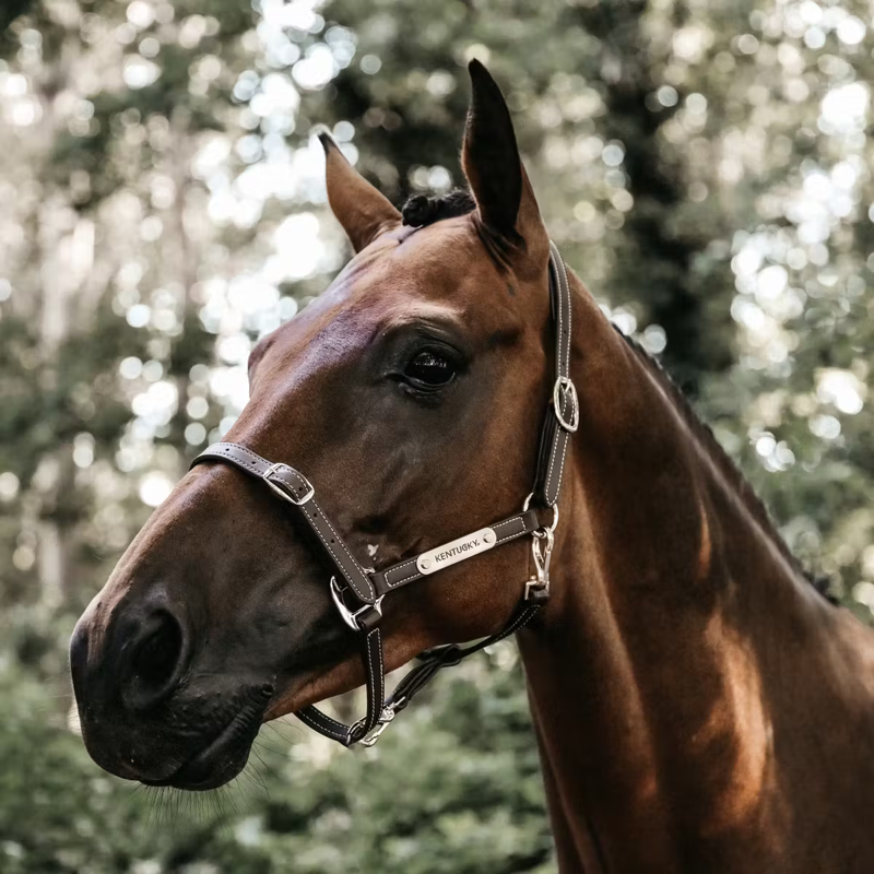 Kentucky Flexible Leather Headcollar - Brown-1