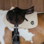Kentucky Wave 3D Logo Show Jumping Saddlepad Full - Beige