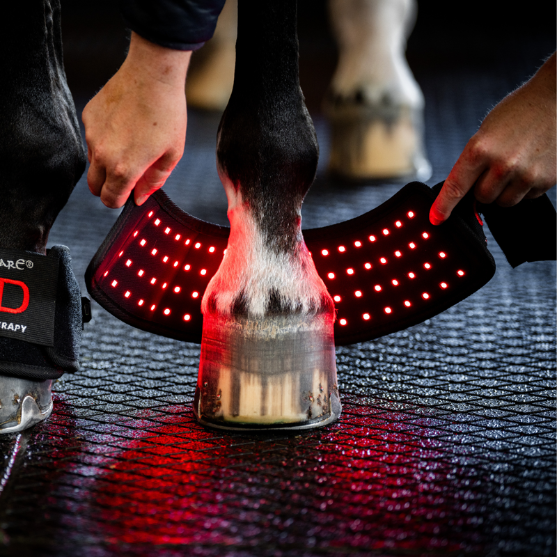 Horseware LED Red Light Therapy Mini Wraps Pair - Black/Black-1