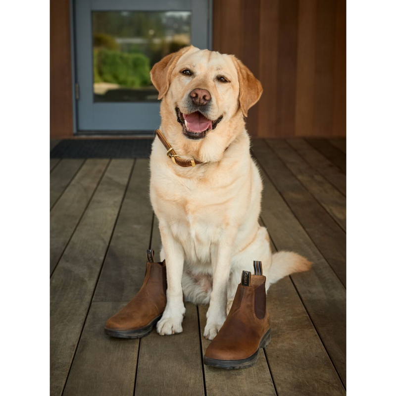 Ariat Women's Cooper Chelsea Boots - Distressed Copper-8