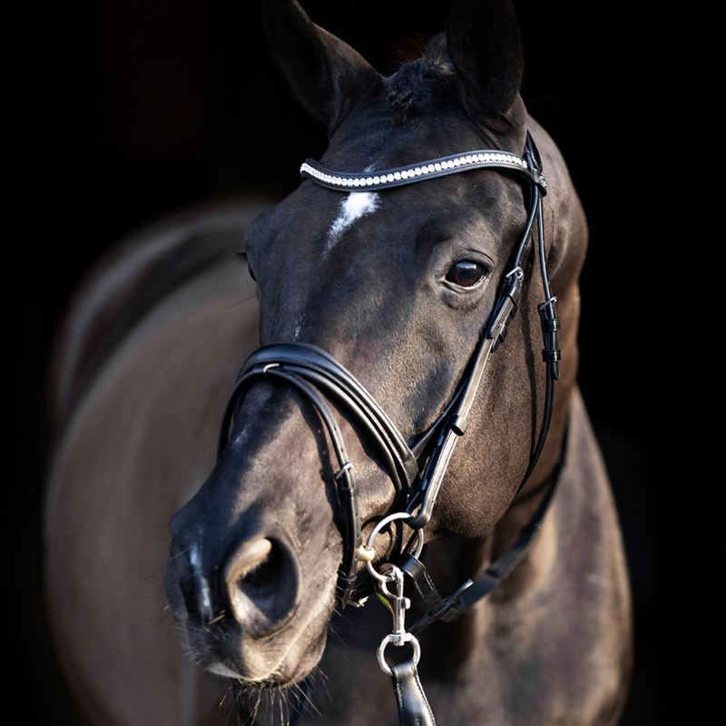 HV Polo Legacy Deluxe Bridle - Black