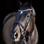 HV Polo Legacy Deluxe Bridle - Black