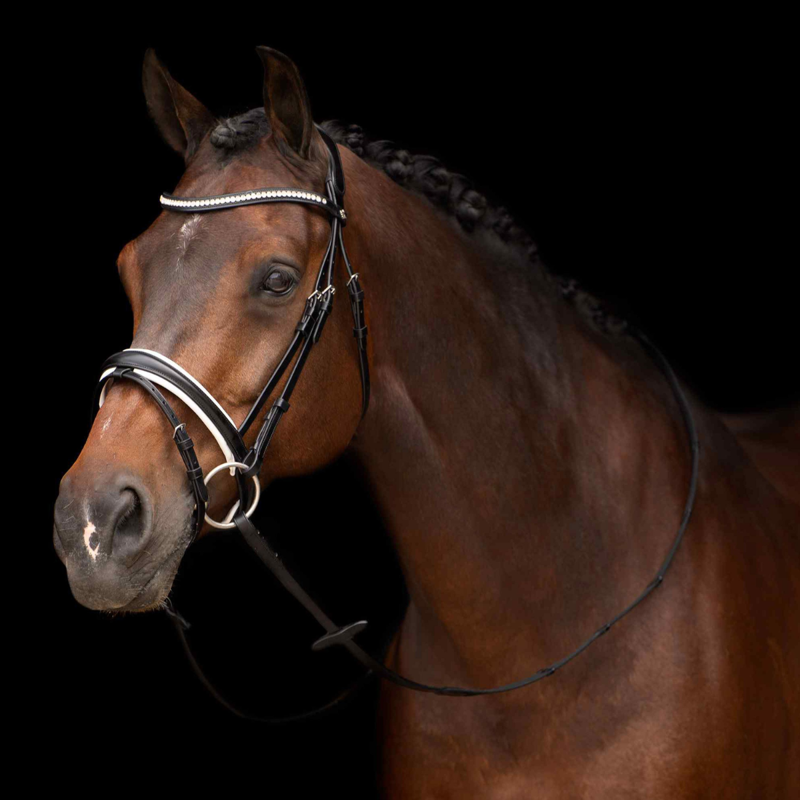 HV Polo Legacy Deluxe Bridle - Black/White