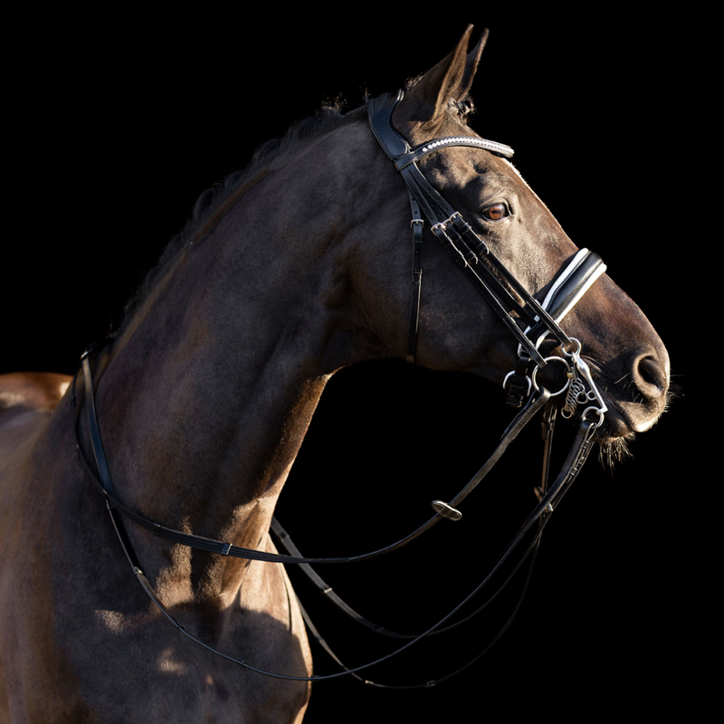 HV Polo Legacy Deluxe Weymouth Bridle - Black/White
