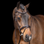 HV Polo Legacy Bridle - Chocolate Brown