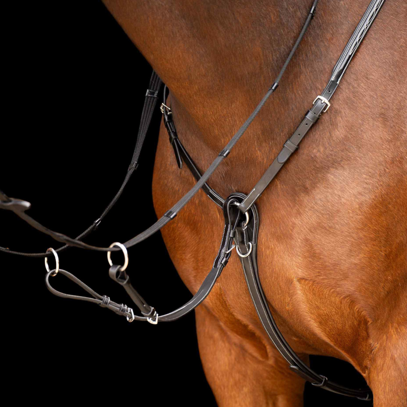 HV Polo Legacy Martingale - Black-1
