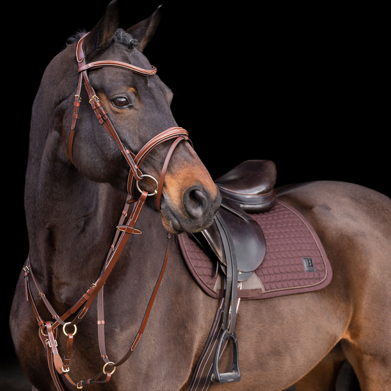 HV Polo Legacy Martingale - Brown-1