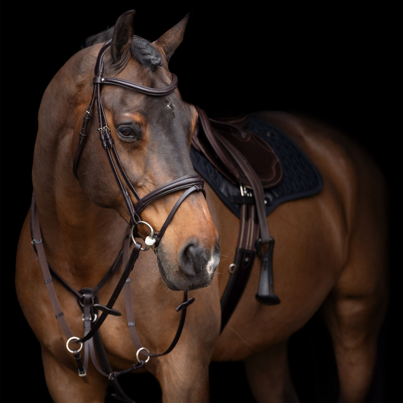 HV Polo Legacy Martingale - Chocolate Brown-1