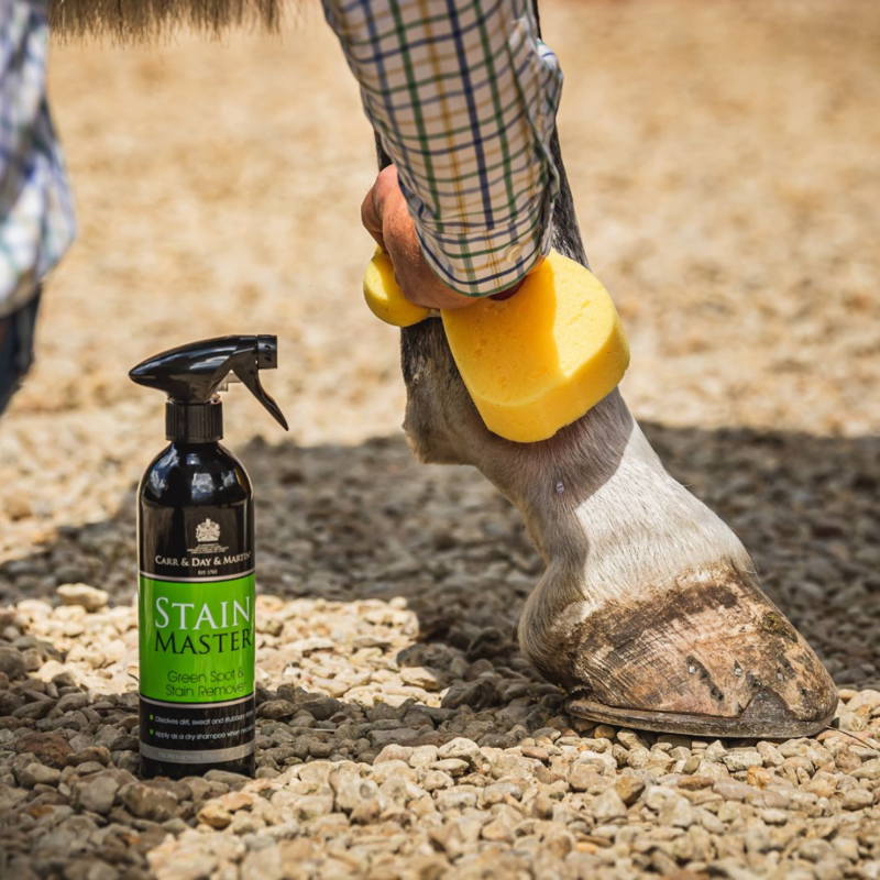 Carr Day and Martin Stainmaster - 500ml-1