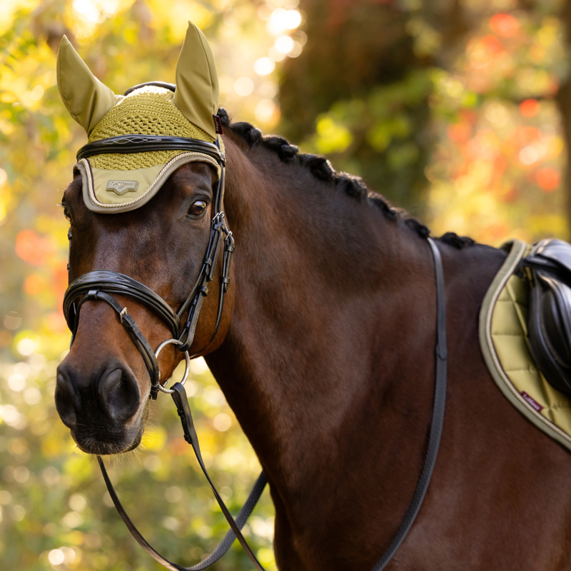 LeMieux Loire Fly Hood - Gooseberry-2