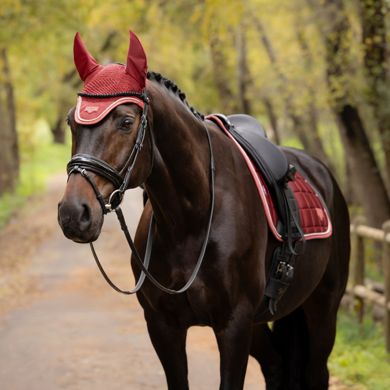 LeMieux Loire Fly Hood - Russet-1
