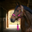 Cameo Performance Leather Headcollar and Lead - Cerise
