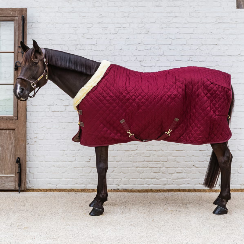 Kentucky Show Rug - Bordeaux