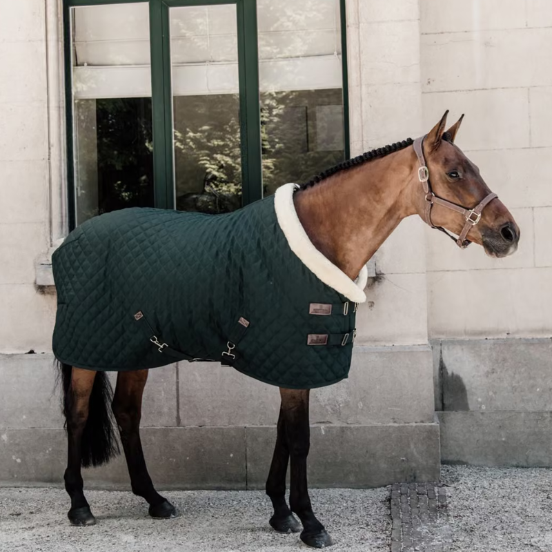 Kentucky Show Rug - Dark Green