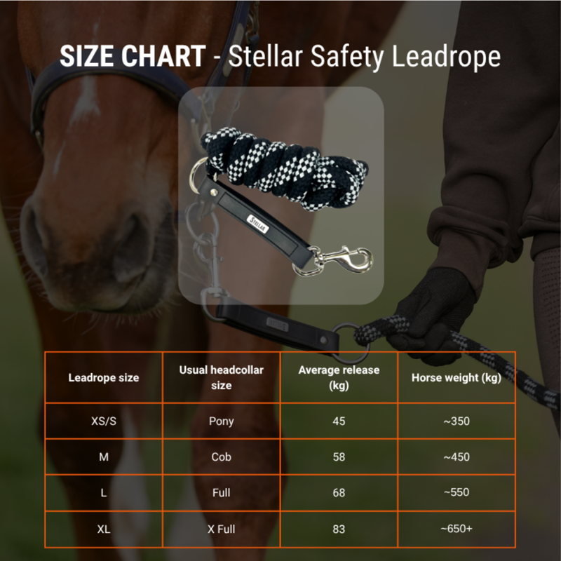 Equilibrium Stellar Safety Leadrope - Black-10