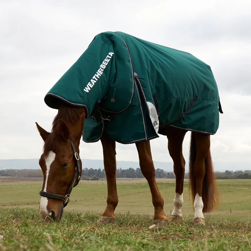 WeatherBeeta ComfiTec Plus Dynamic Detach-A-Neck 360g Turnout Rug - Forest Green/Navy-1