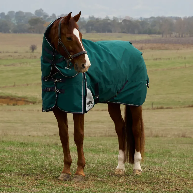 WeatherBeeta ComfiTec Plus Dynamic Detach-A-Neck 360g Turnout Rug - Forest Green/Navy
