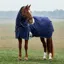 WeatherBeeta ComfiTec Plus Dynamic Detach-A-Neck 360g Turnout Rug - Navy/Forest Green
